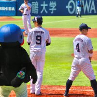 とうふ (@samatoufu) 's Twitter Profile