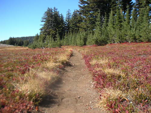 PatagoniaUltra's profile picture. Following the Patagonia Ultra Running Team