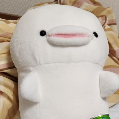 ayanoMk2's profile picture. 型落ちワゴンと不人気ミドルSS乗り
鉄道模型は千葉の人。ラジコンやらモタスポ観戦やらゆるゆると
CBR600RR XTZ125 LEVORG
ニコツー関西（生き残ってたら）
しろたんは癒し