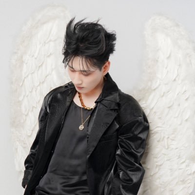 wanlerhyuk's profile picture. @AllRiseSilver 🚙 @SJofficial