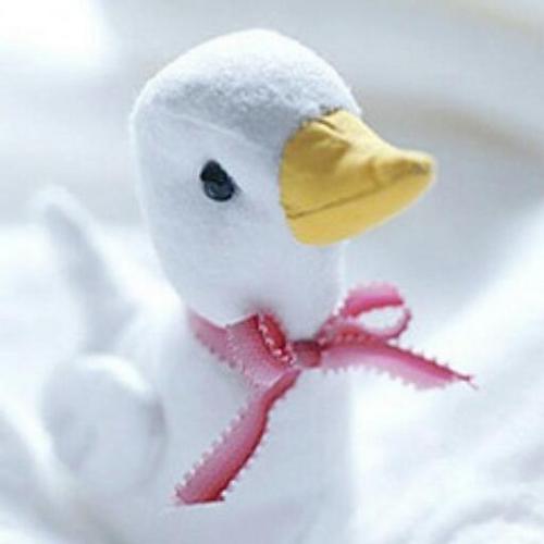 JYL_roller's profile picture. BROVO~♥