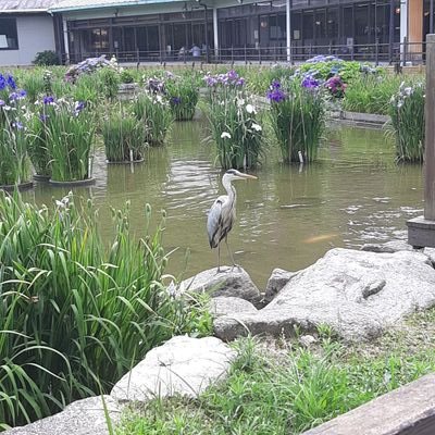 keeei315's profile picture. 創域理工学部経営システム工学科