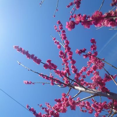 山咲龍詞さんのプロフィール画像