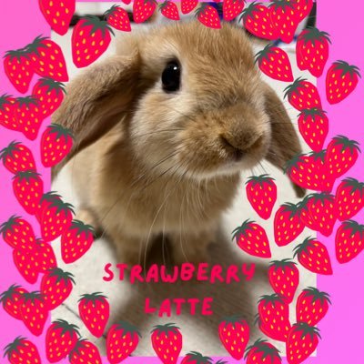 🍓🐰ゲーム、うさぎ好きの方お友達になりましょう🍓NIKKE、初日からやってます💩ユニオン🍓ストロベリィ🍓で、みなさんと一緒に楽しくNIKKEやってます✨🐰ソーダ🐰を愛しています🍓ソーダのような素敵な女性に憧れます&なりたいです🍓うさぎも大好きです🍓🐰💕 よろしくお願いします😊🍓🍓🐰🐰