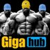 $Giga Hub (@gigahubsol) Twitter profile photo $Giga Hub (@gigahubsol) Twitter profile photo