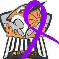 PINTOBASKET (@pintobasket) 's Twitter Profile
