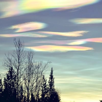 wentejas's profile picture. haciendo milagros