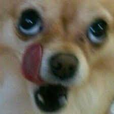 Junghoe04's profile picture. 