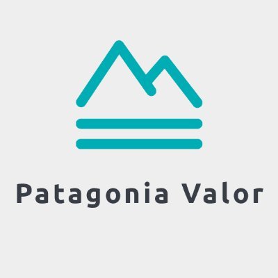 Private investor