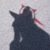 あんど (@andou_cam) 's Twitter Profile