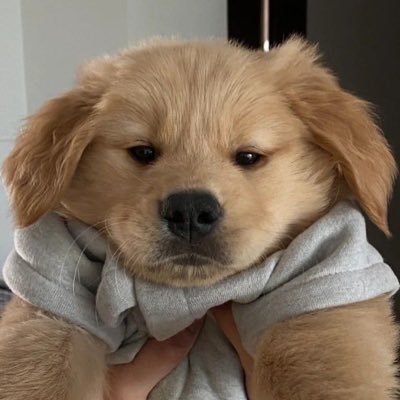 jpanjpp's profile picture. 