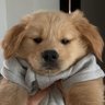 jpanjpp's profile picture. 