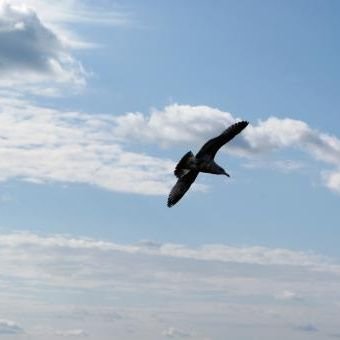 arvindkhodre91's profile picture. 