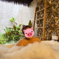 ぶーぶー子🐽 (@sjackson74276) 's Twitter Profile Photo