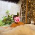 ぶーぶー子🐽 (@sjackson74276) Twitter profile photo ぶーぶー子🐽 (@sjackson74276) Twitter profile photo