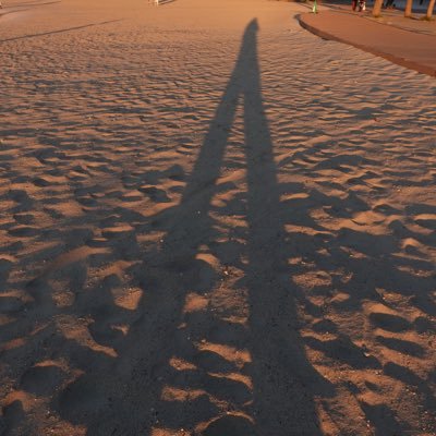 へどにさんのプロフィール画像