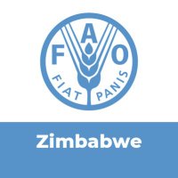FAO Zimbabwe (@faozimbabwe) 's Twitter Profile