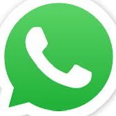 WhatsApp Gay (@jjenanali) 's Twitter Profile Photo