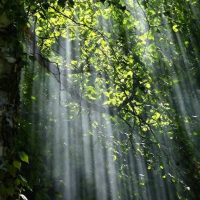 marjiaakhter07's profile picture. 💯% Followback 💯% Followback 💯% lover of music❤ I love myself GGMU❤️❤️❤️ cat lover  ❤️ lover of good music💯 Futarian 💯❤️ animal scientist 💯❤️💯% Followback