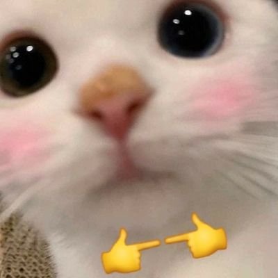 SuNFAiR7's profile picture. ทักมาเมคได้คับ | โอ๋ติด ติดโอ๋ ติดฝน ติดเธอ😼