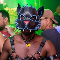 Lycanpup_ChaserRJ (@chaserwolfrj) 's Twitter Profile