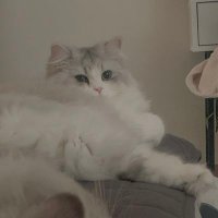 ᐩᕀ (@mnlftjx_) 's Twitter Profile