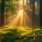 isratjahan038's profile picture. lover of music❤
I love myself
GGMU❤️❤️❤️
cat lover ❤️
Scorpio 🧞
lover of good music💯
 Futarian 💯❤️
animal scientist 💯❤️