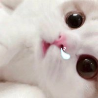 O (@ioioioioioie) 's Twitter Profile