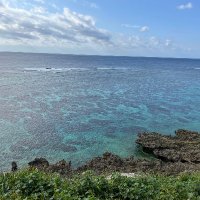 自由を手にしたい米国株投資家 (@2tky19) 's Twitter Profile Photo 自由を手にしたい米国株投資家 (@2tky19) 's Twitter Profile Photo