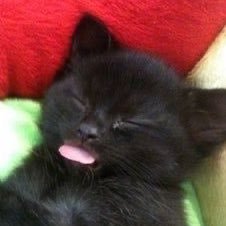 18+ not porn i just only want adults here
