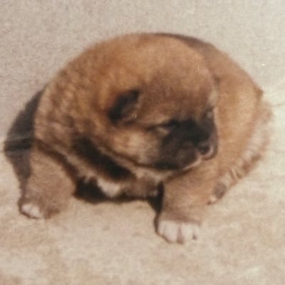 panko_aoisora's profile picture. 私と北海道に逃げよう ⋮👍🏻🩸定時Fjk