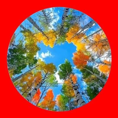tiantian415275's profile picture. 风险投资