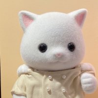 ใใ
๐ (@syuuufff) 's Twitter Profile