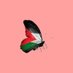 س ًالرشيدي 🇵🇸 🇴🇲 (@qweenlob) Twitter profile photo س ًالرشيدي 🇵🇸 🇴🇲 (@qweenlob) Twitter profile photo