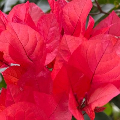 epwatgm31054's profile picture. 