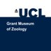 Grant Museum of Zoology (@grantmuseum) Twitter profile photo Grant Museum of Zoology (@grantmuseum) Twitter profile photo