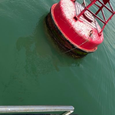 noturmindbro's profile picture. Lovely