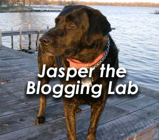 Jasper_Dog_Blog's profile picture. Well, I'm a Black Labrador, Once a year I bang bitches and my masters are way cool. They didn't fix me!!!