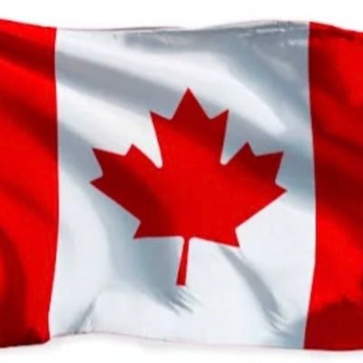 Swebster96's profile picture. 