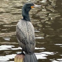 Mike Mc (@mikemcg02623048) 's Twitter Profile