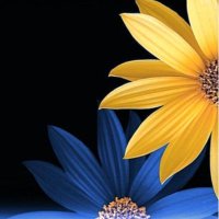 Shyann💙Blue (@blueskyshyann) 's Twitter Profile Photo Shyann💙Blue (@blueskyshyann) 's Twitter Profile Photo