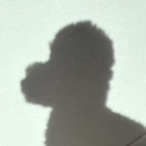 chlmn800's profile picture. UI/UX Designer