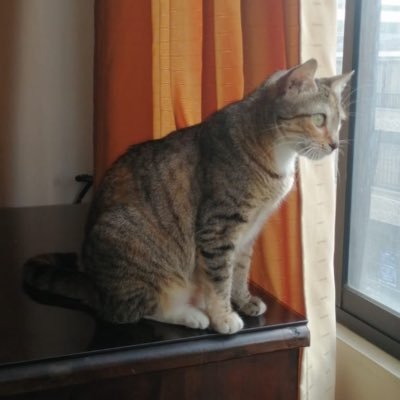 Zeus44879147162's profile picture. Ing. Civil