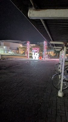 okhr17's profile picture. 横国 理工 情報工 新1年