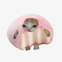 fffffffe (@momo1540222) 's Twitter Profile