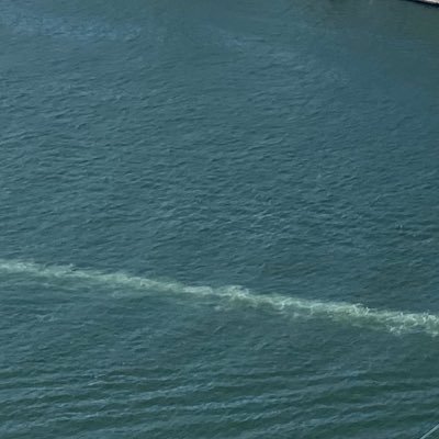 spicyzoe28's profile picture. 