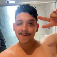 lucs (@lucsfdf) 's Twitter Profile