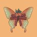 Fae & Flowers Fem BkDkBk Zine 🌸🦋 (@faeflowerszine) Twitter profile photo Fae & Flowers Fem BkDkBk Zine 🌸🦋 (@faeflowerszine) Twitter profile photo