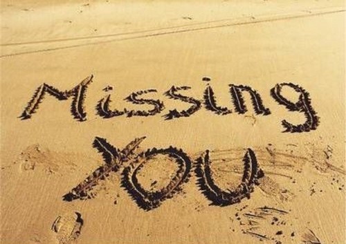 I_Miss_The's profile picture. Don't ever lose hope.