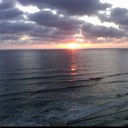 Steve Leininger - @AZCats3914 - Twitter